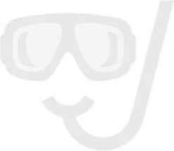 Douchegoot RVS FLENS - 80 CM - Met Uitneembaar Sifon & Uitneembaar Haarfilter -Badkamer Wijs 1200x1042 2