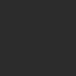 Tiger Tune - Toiletborstel Met Houder Vrijstaand - Zwart Metaal Geborsteld / Zwart -Badkamer Wijs 1200x1200 2317