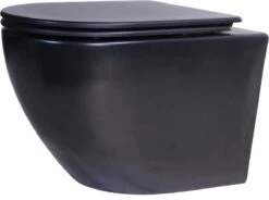 Delivo | Hangend Toilet | Mat Zwart | Softclose | Nano Coating & Rimless Functie -Badkamer Wijs 1200x892