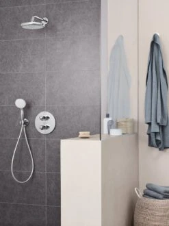 GROHE New Tempesta 100 Douchekop - Ø 10 Cm - 2 Straalstanden - Chroom - 2759710E -Badkamer Wijs 899x1200 17