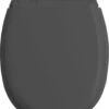 Allibert Wc-bril ATLAS - Geperst Hout - Afklikbaar - Met Regelplaat - Anthraciet Grijs Gelakt -Badkamer Wijs 926x1200 1