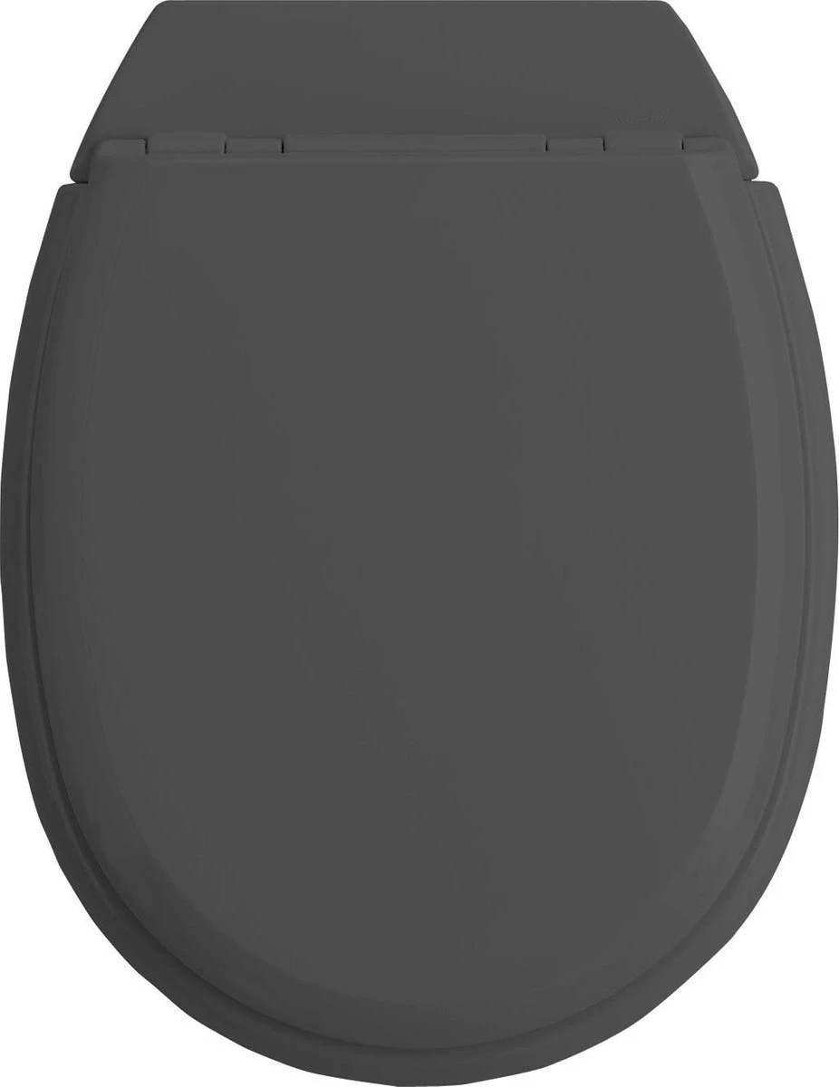 Allibert Wc-bril ATLAS - Geperst Hout - Afklikbaar - Met Regelplaat - Anthraciet Grijs Gelakt 3 Allibert Wc-bril ATLAS - Geperst Hout - Afklikbaar - Met Regelplaat - Anthraciet Grijs Gelakt