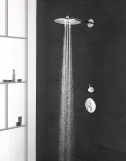 GROHE Euphoria 260 Hoofddouche - Regendouche ø 26 Cm - Eco - Met 3 Stralen - Chroom -Badkamer Wijs 940x1200 5