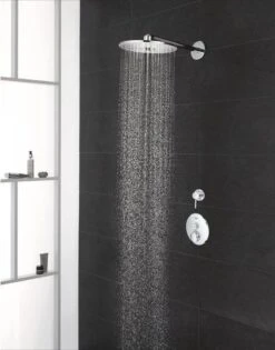 GROHE Euphoria 260 Hoofddouche - Regendouche ø 26 Cm - Eco - Met 3 Stralen - Chroom -Badkamer Wijs 942x1200 1